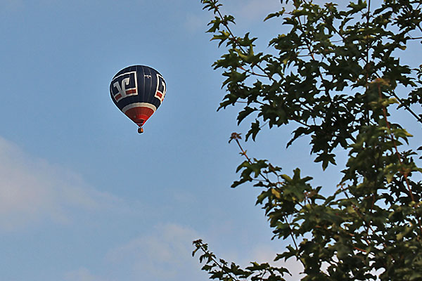 Bild 86